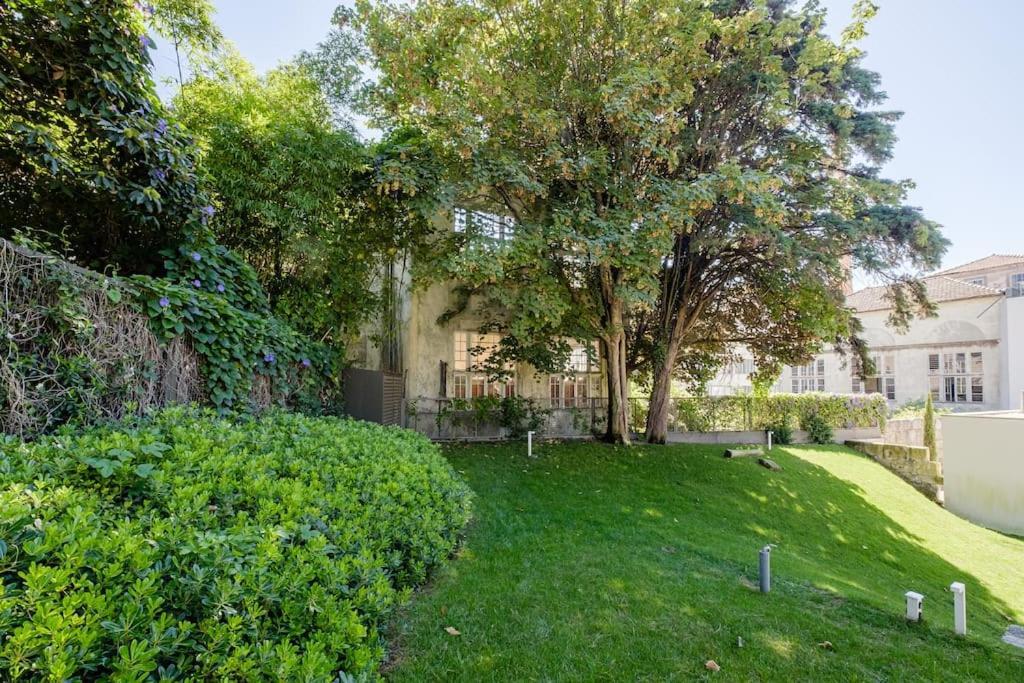 Boutique Rentals-Primrose Terrace&Garage ポルト エクステリア 写真